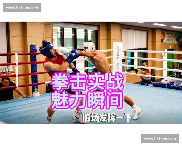 外国拳击比赛的魅力与历史发展探讨